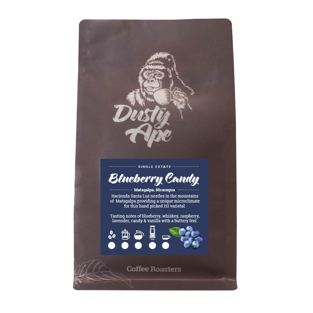 Nicaragua Blueberry Candy – Dusty Ape