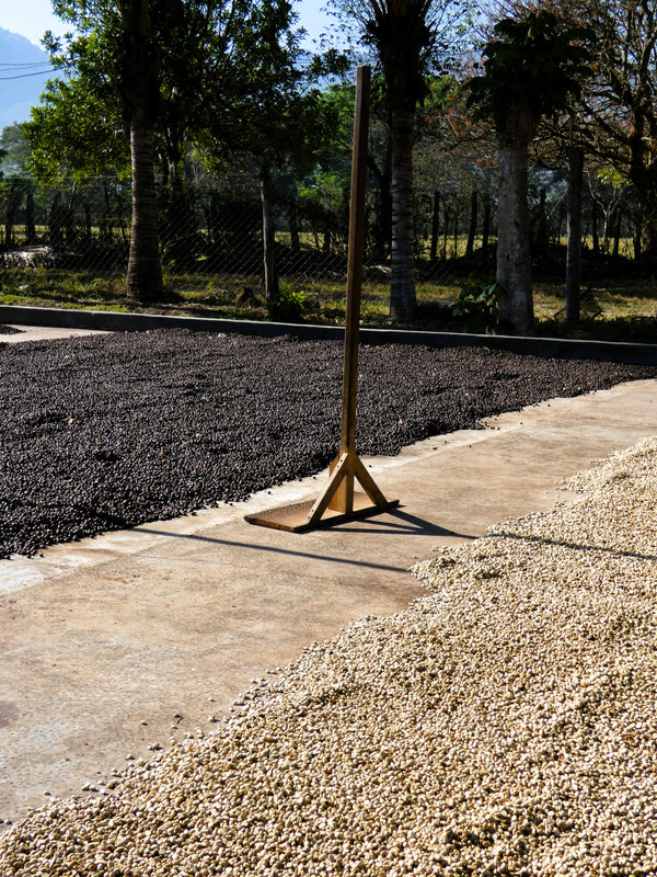 Guatemala La Nueva Era