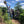 Load image into Gallery viewer, Brazil Boa Esperança
