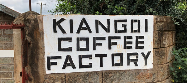 Kenya Rungeto Kiangoi