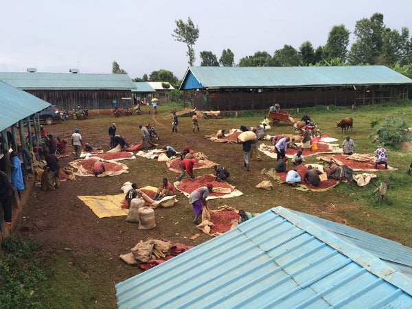 Kenya Rungeto Kiangoi