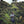Load image into Gallery viewer, El Salvador Santa Petrona
