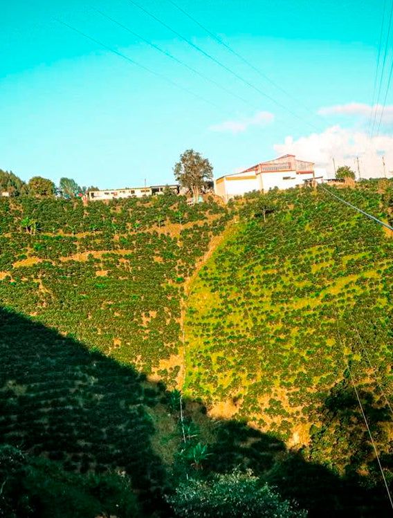 Colombia Peñas Blancas