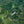 Load image into Gallery viewer, Peru Queromarca
