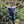 Load image into Gallery viewer, Peru Queromarca
