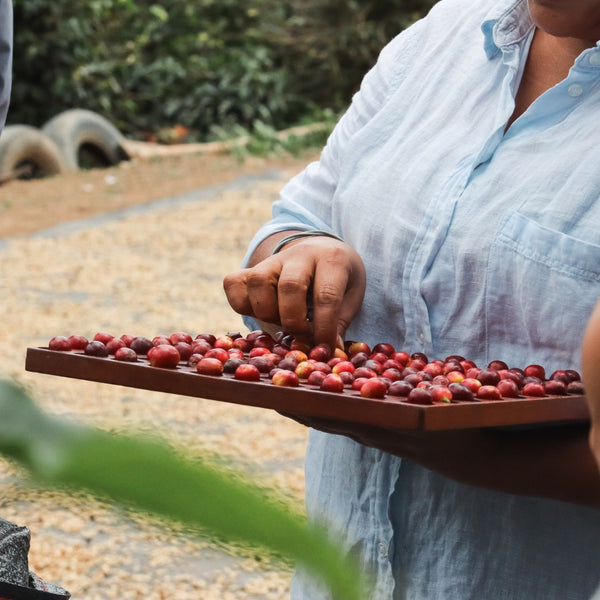 Peru Queromarca