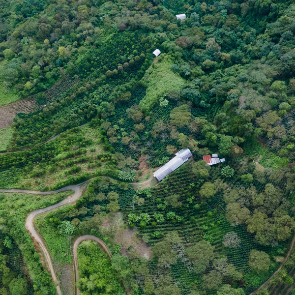 Peru Queromarca