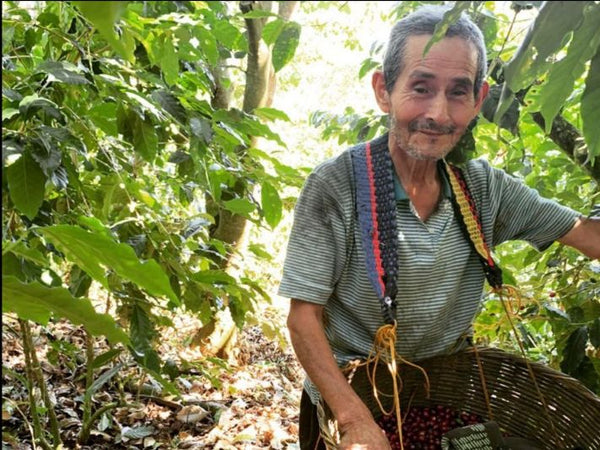 El Salvador Santa Petrona