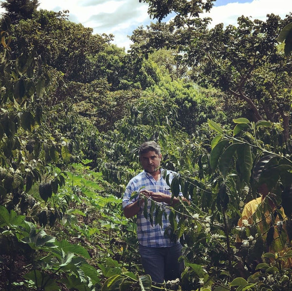 El Salvador Santa Petrona